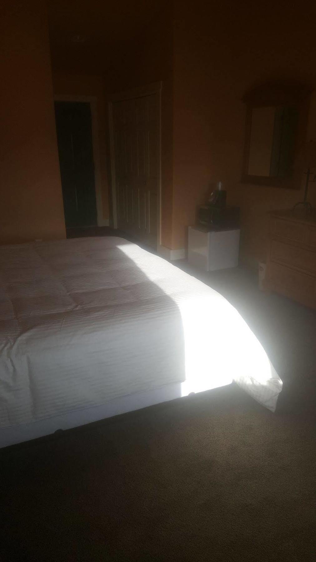 Teton Valley Motel Виктор Экстерьер фото