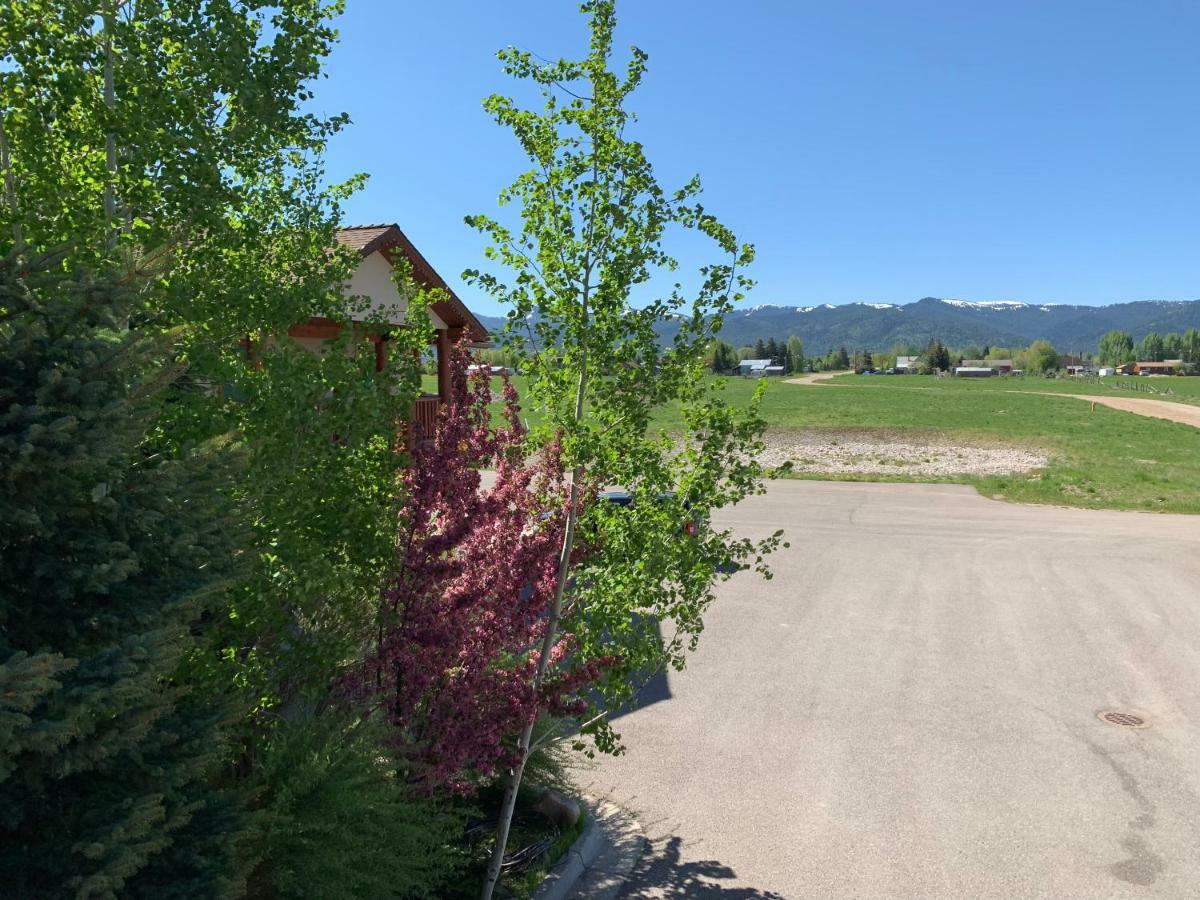 Teton Valley Motel Виктор Экстерьер фото